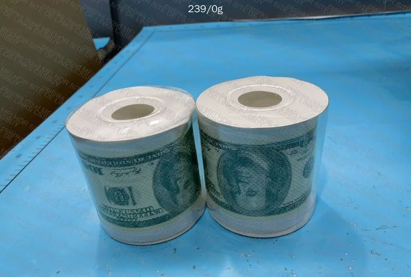 Dollar Toilet Paper 3
