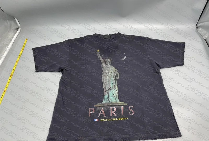 Paris Liberty Destroyed Tee 2
