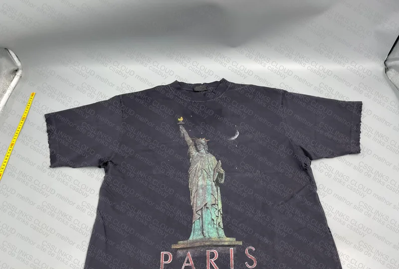 Paris Liberty Destroyed Tee 3
