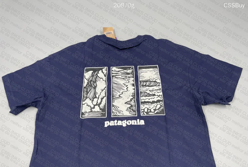 Patagonia Shirt