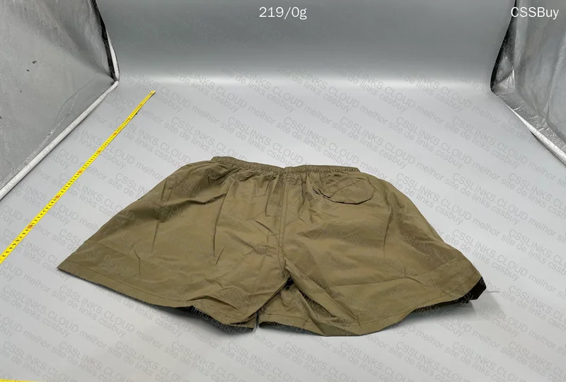 Patagonia Shorts 2