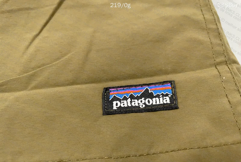 Patagonia Shorts 5