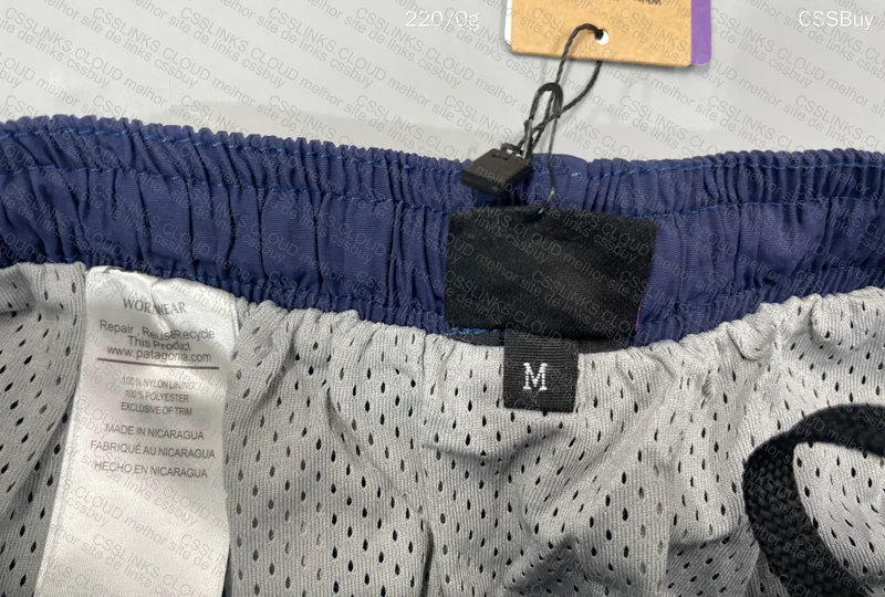 Patagonia Shorts 8