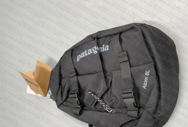 Patagonia Sling Bag (Atom 8L) 2