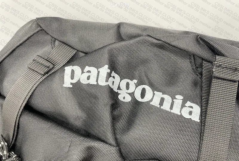 Patagonia SlingBag 3