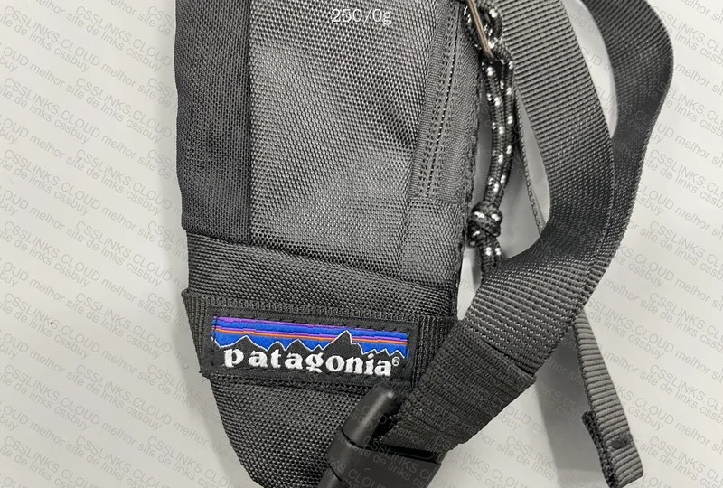 Patagonia SlingBag 6
