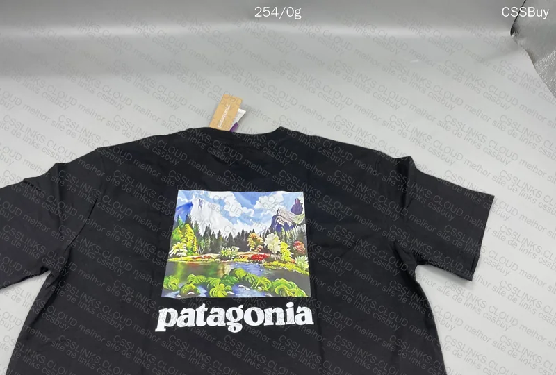 PATAGONIA T-SHIRT 2