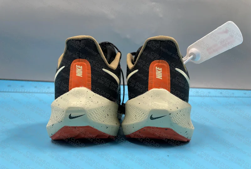 Pegasus 39 blind air zoom 3
