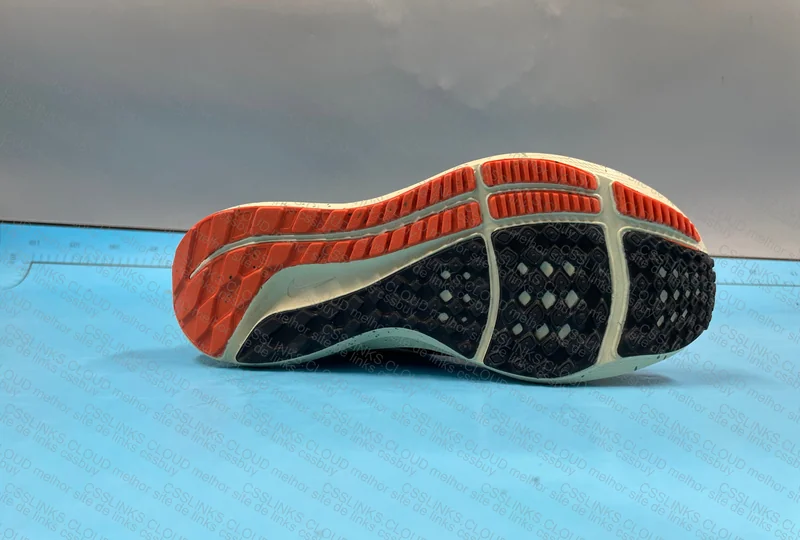 Pegasus 39 blind air zoom 4