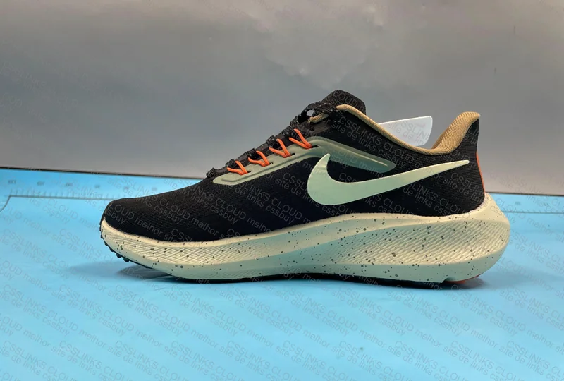 Pegasus 39 blind air zoom 5