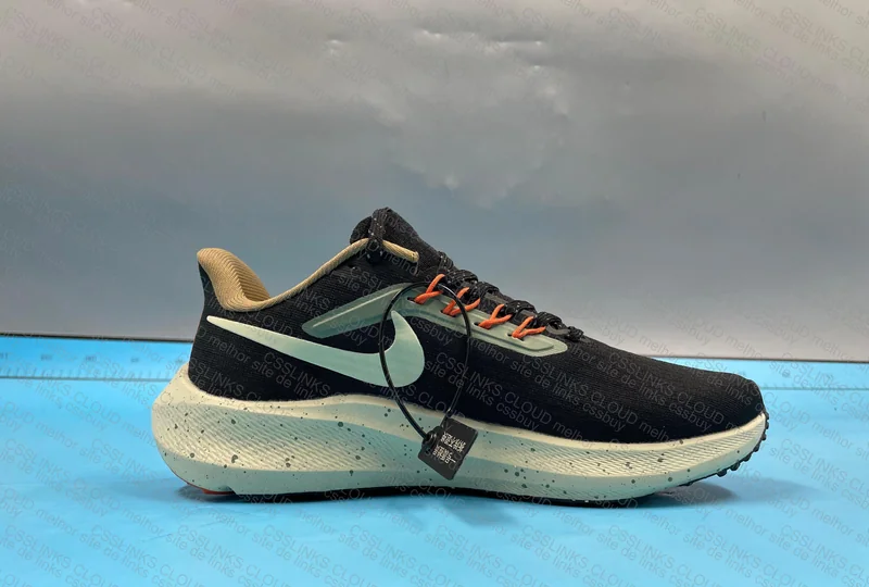 Pegasus 39 blind air zoom 7
