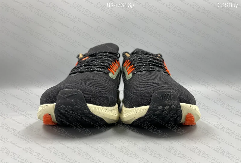 Pegasus 39 - GL? 2