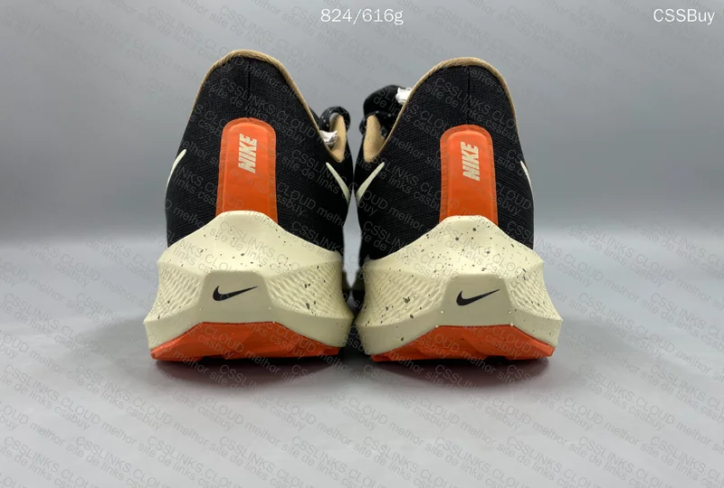 Pegasus 39 - GL? 3