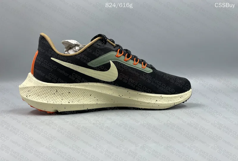 Pegasus 39 - GL? 5