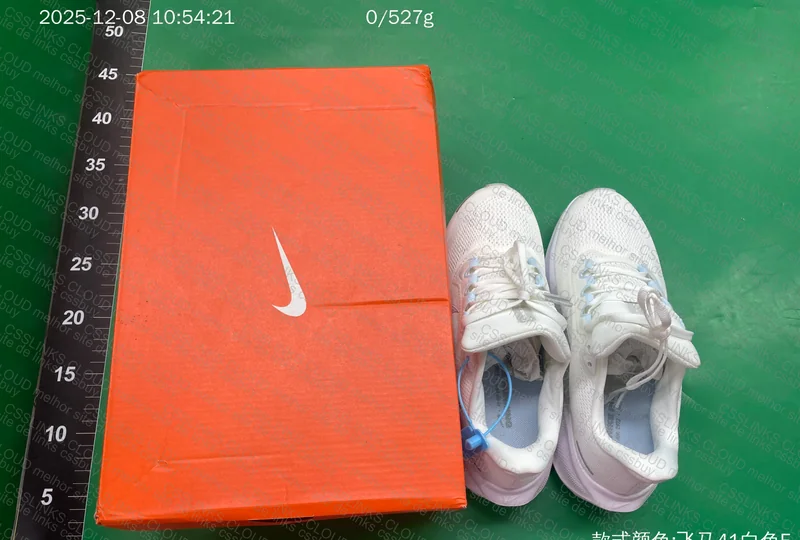 Pegasus 41 Nike 2