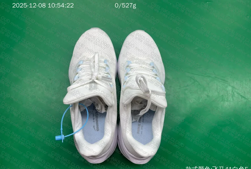Pegasus 41 Nike 3