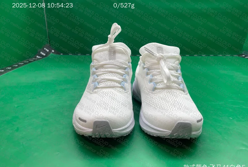 Pegasus 41 Nike 7
