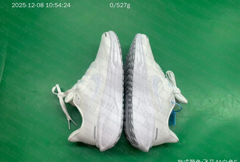 Pegasus 41 Nike 9