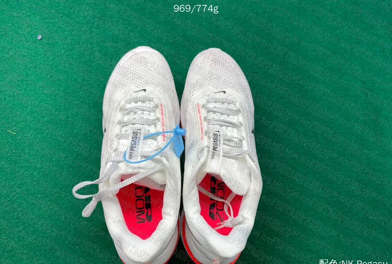 Pegasus Premium 6
