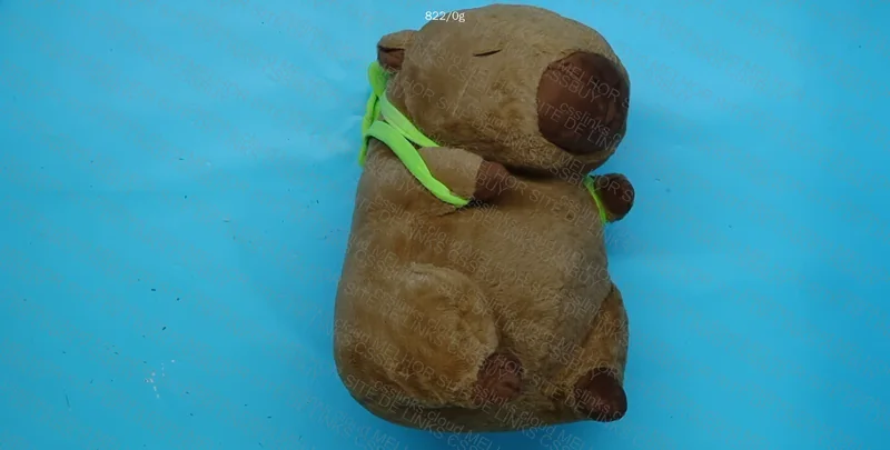 Capybara Plush for My Daughter 3