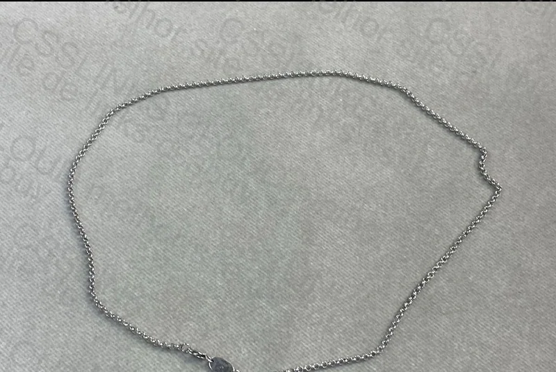 Chrome Hearts Pendant + Chain 4