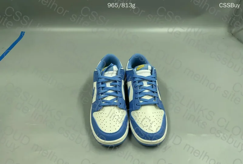 (Pintura Borrada?) Nike Dunk Low Blue Coast