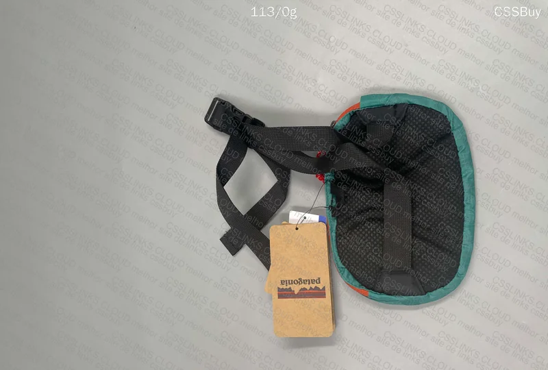 Patagonia Waist Bag 2