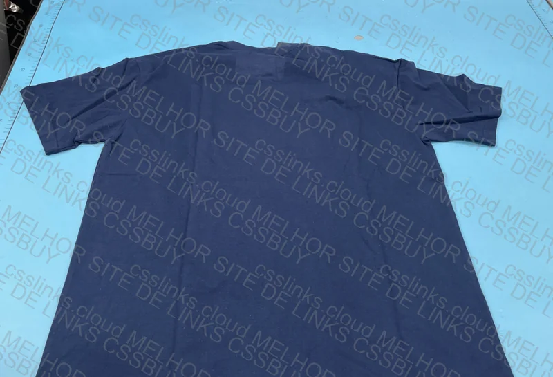 Polo Bear Tee with Measurements and Video 6