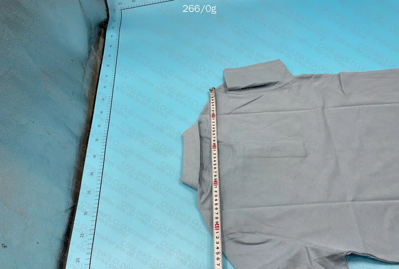 Lacoste Polo GL? 5