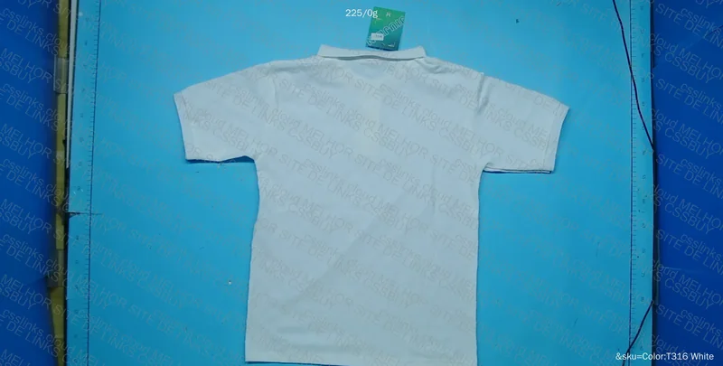 LV Polo in 360 MP 2