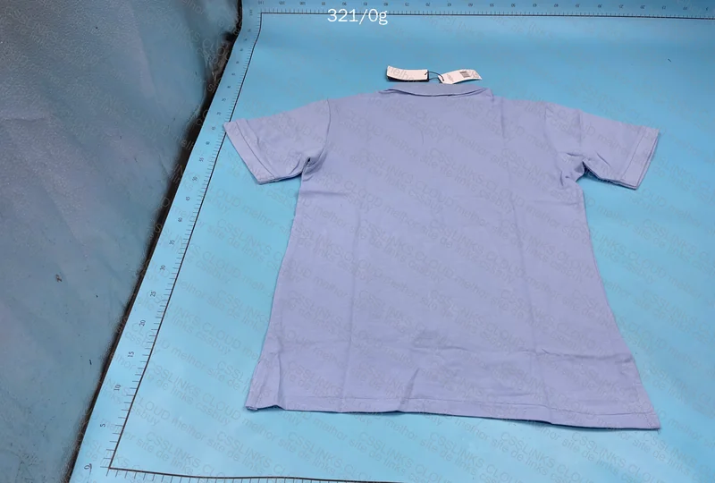 Ralph Lauren Blue Polo 4