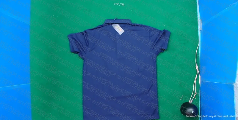 Ralph Lauren Blue Polo 2