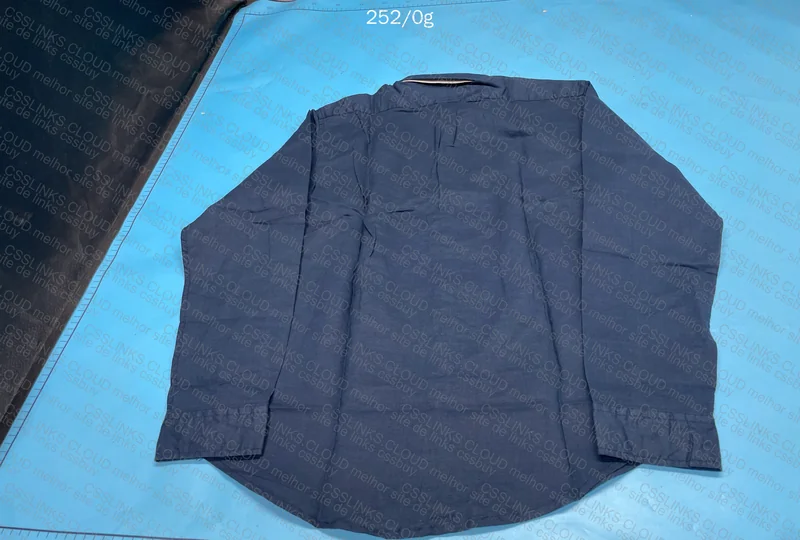 Ralph Lauren Linen Polo 2