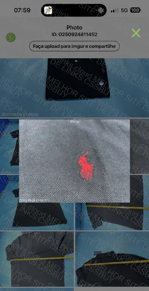 Polo Ralph Lauren GL? 2