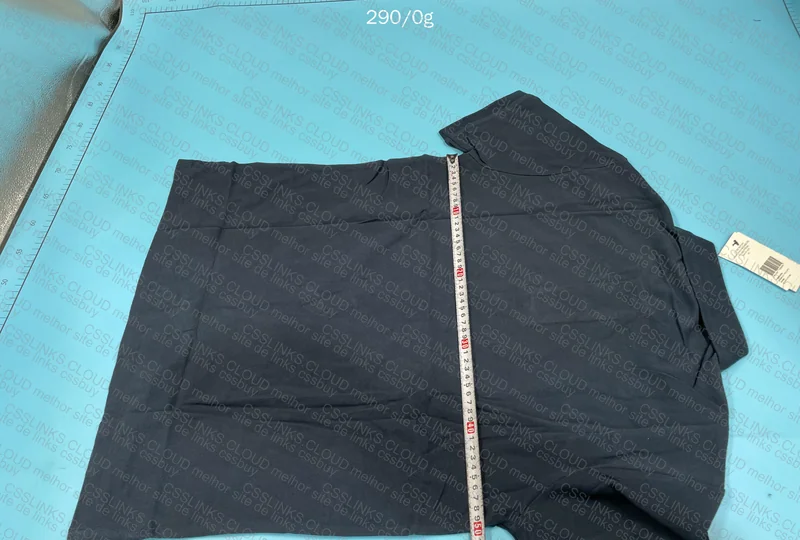 Polo Raulph Lauren (GL?) 2