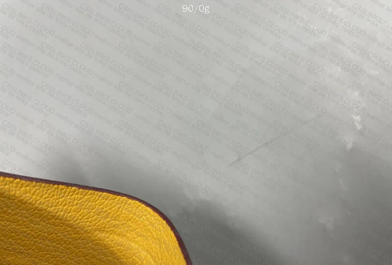 Goyard Card Holder 5
