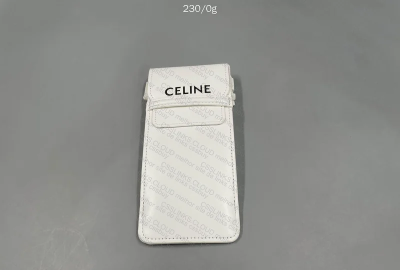 Celine Glasses Case 4