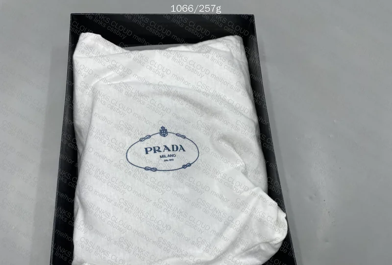 Prada Re-Edition 2005 4