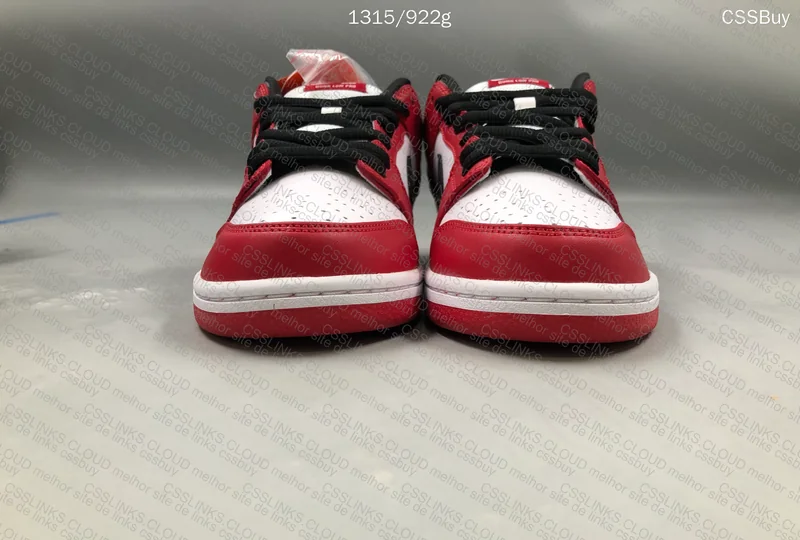 First Purchase - Nike SB Dunk Low Pro Chicago