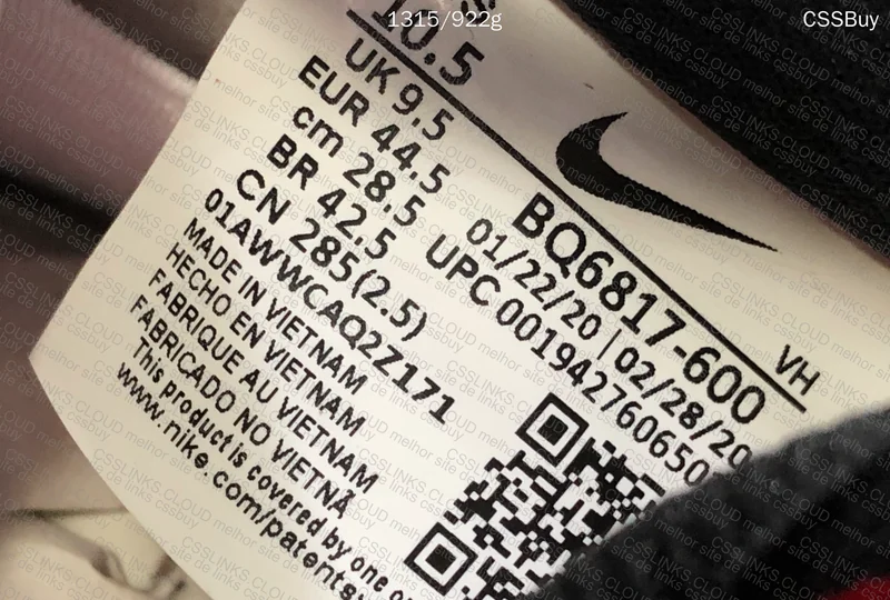 First Purchase - Nike SB Dunk Low Pro Chicago 10