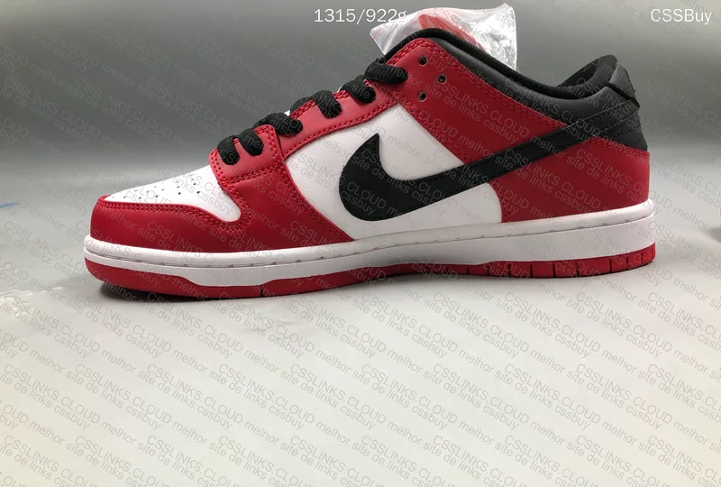 First Purchase - Nike SB Dunk Low Pro Chicago 3