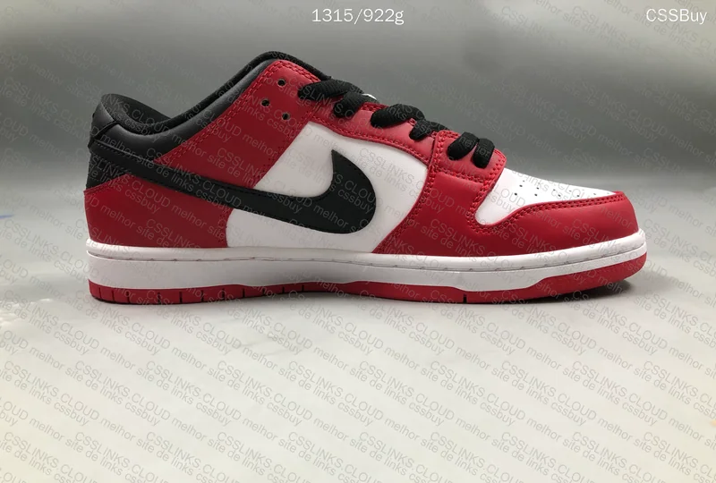 First Purchase - Nike SB Dunk Low Pro Chicago 5
