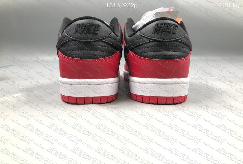 First Purchase - Nike SB Dunk Low Pro Chicago 6