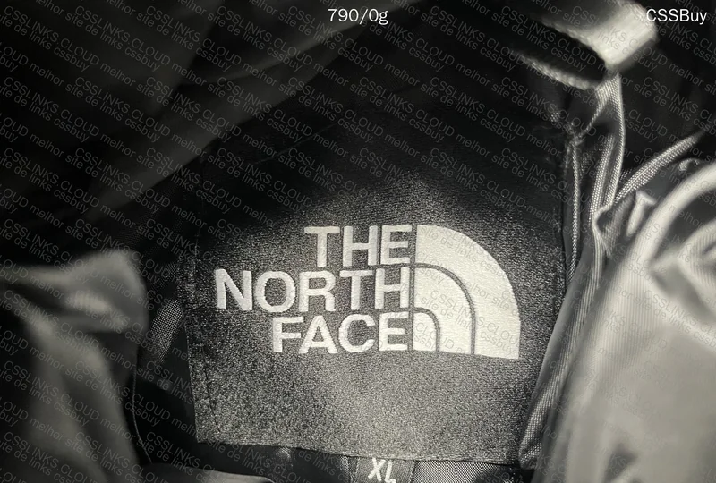 Puffer North Face 5