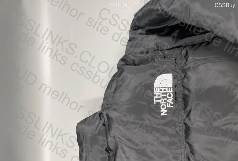 Puffer North Face 6