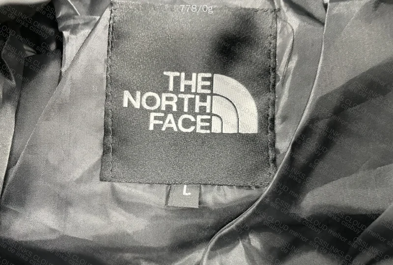 Puffer North Face 4