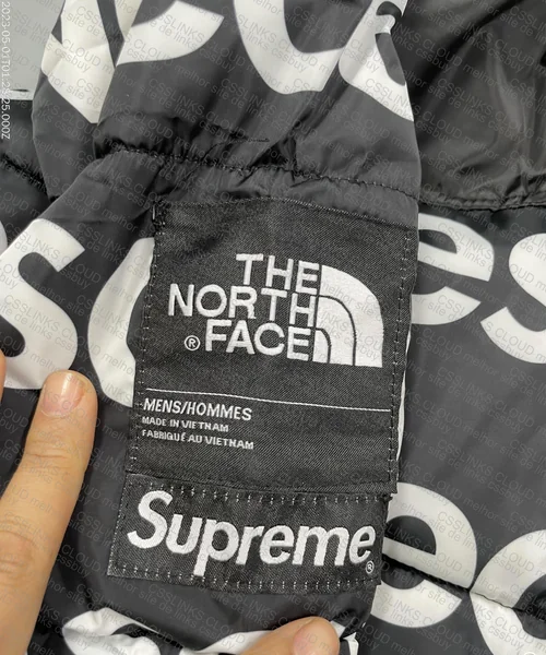 Supreme x The North Face Black Puffer 5