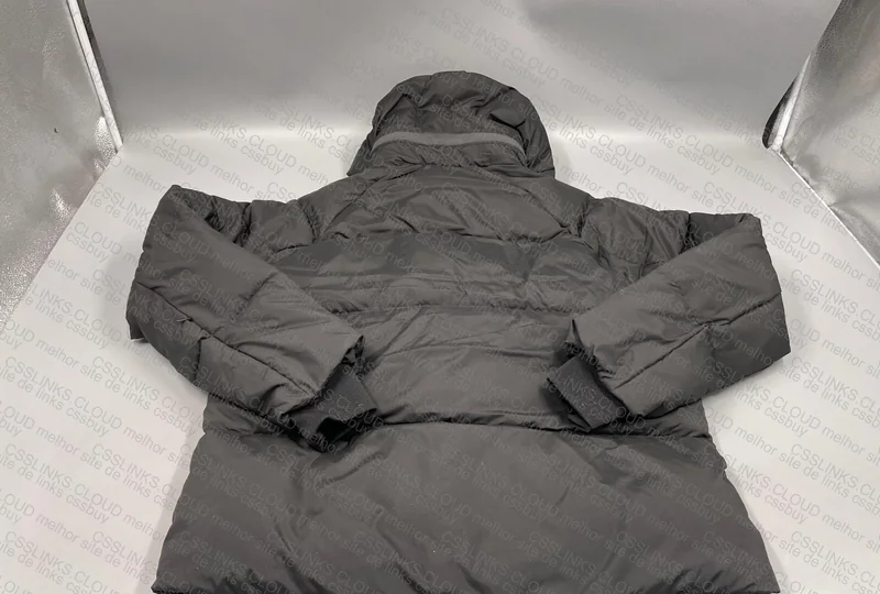 Puffer Syna World 6