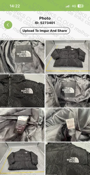 puffer The north face 2