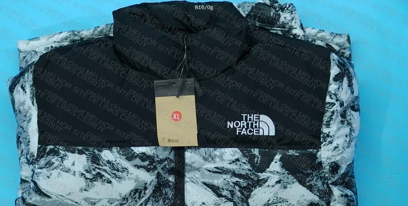 PUFFER THE NORTH FACE